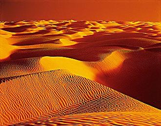 《女神异闻录4：无敌究极后桥背摔》NS版容量超13GB