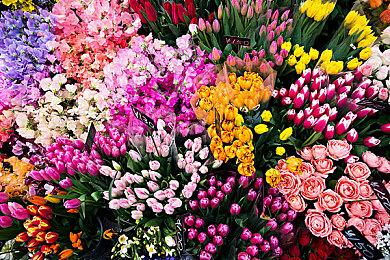 天堂2m欧美服使用什么加速器多开比较好？ 